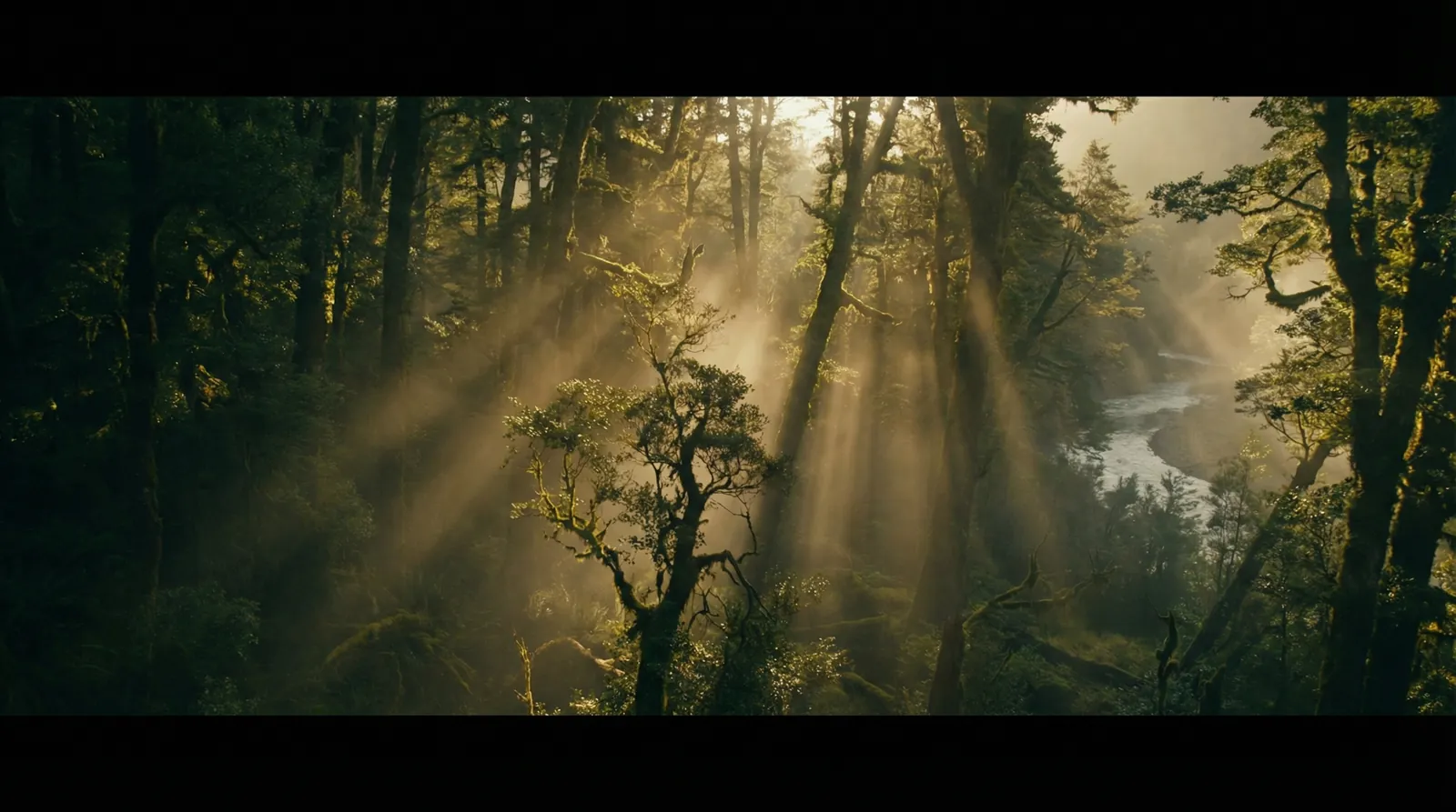 XGAME网站 自然纪录片风格调色案例